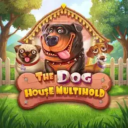 The Dog House Multihold game at Casiny Casino for Australia players The Dog House Multihold game at Casiny Casino for Australia players
